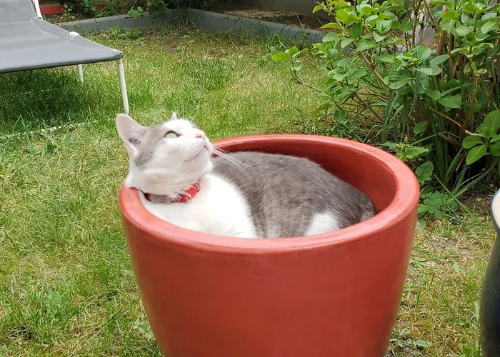 Chez Stephane Et Sylvie * Le Mans